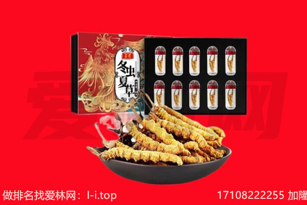 商丘虞城县回收虫草.jpg